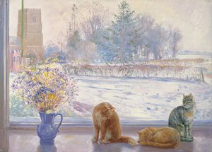猫と冬の展望
